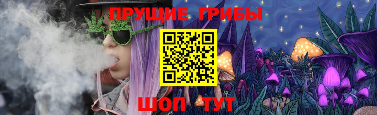 Галлюциногенные грибы Cubensis Сланцы
