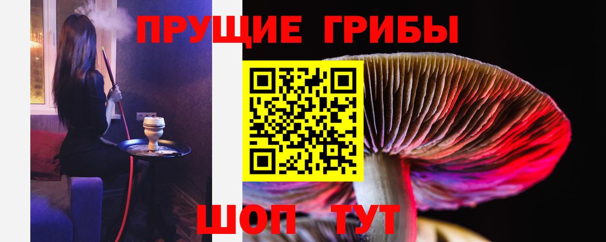 Сланцы  Галлюциногенные грибы прущие грибы  Вход с VPN 